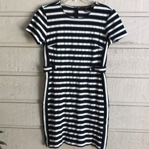 Banana Republic Stripe Stretch Dress Size 6